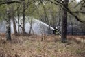 Waldbrand Wahner Heide Troisdorf Eisenweg P104